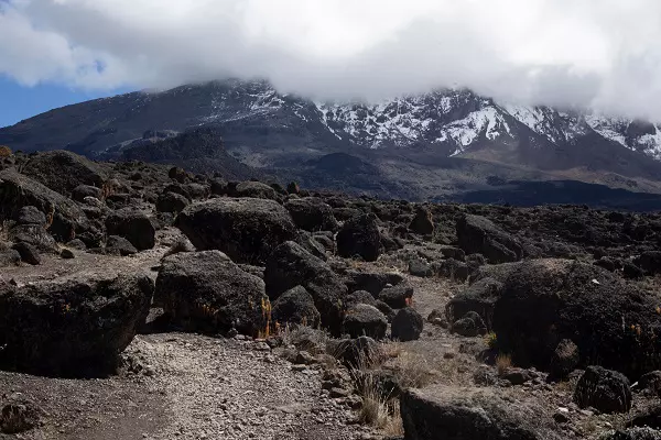 7-Day Lemosho Route Kilimanjaro Climbing Tour Package