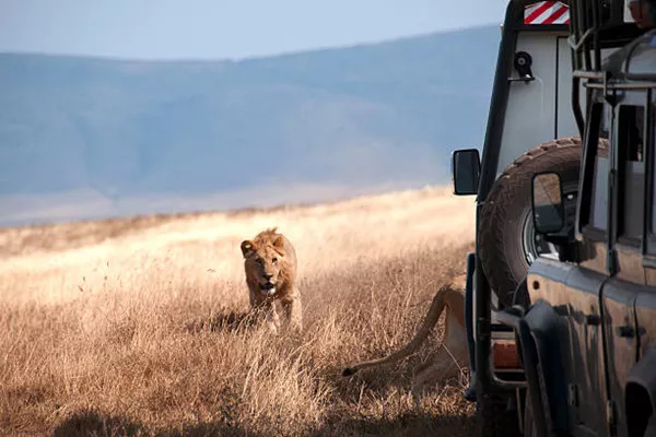 5-Day Tanzania Private Safari Tour Package